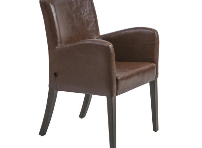 Design Lounge Chair Dining room Upholstery Chair with Armrests Armchair new